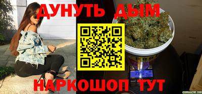 шишки Кандалакша