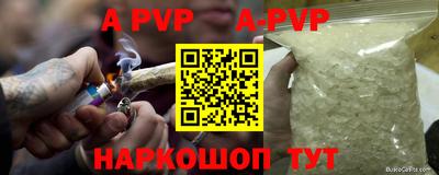 дурь Кингисепп