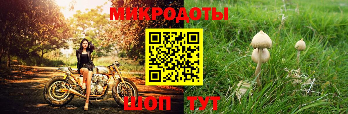 Галлюциногенные грибы прущие грибы  Вход с VPN  Троицк  цена наркотик  Галлюциногенные грибы мицелий 